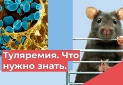 ЧТО НУЖНО ЗНАТЬ О ТУЛЯРЕМИИ